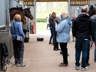 BP140425-61 - Ben Pauling Stable Visit